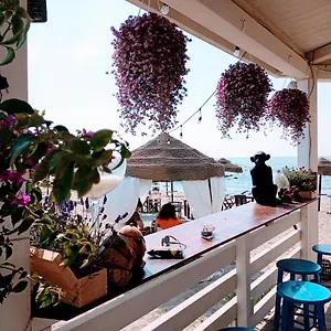 Purple Italy , Fiumicino Italia